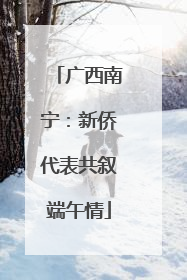广西南宁：新侨代表共叙端午情