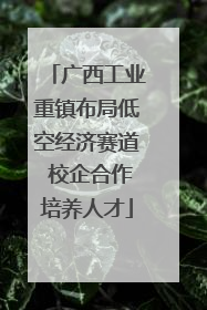 广西工业重镇布局低空经济赛道 校企合作培养人才