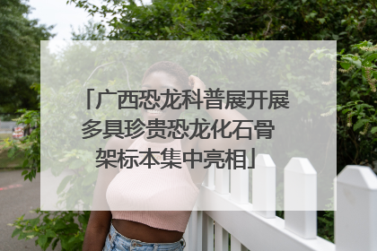 广西恐龙科普展开展 多具珍贵恐龙化石骨架标本集中亮相