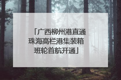 广西柳州港直通珠海高栏港集装箱班轮首航开通