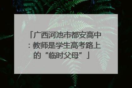 广西河池市都安高中：教师是学生高考路上的“临时父母”