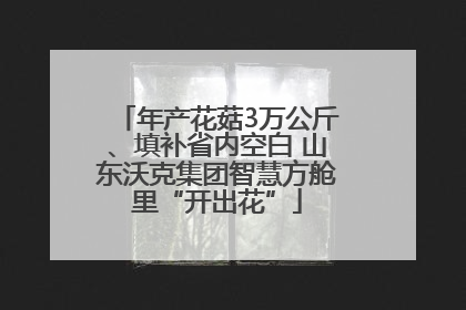 年产花菇3万公斤、填补省内空白 山东沃克集团智慧方舱里“开出花”