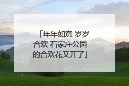 年年如意 岁岁合欢 石家庄公园的合欢花又开了
