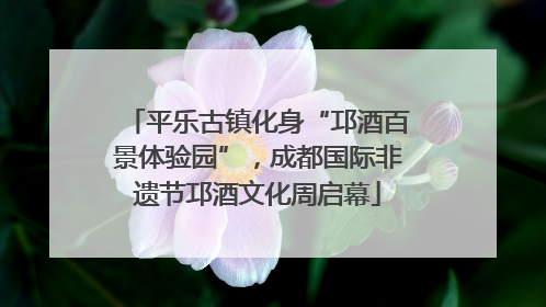 平乐古镇化身“邛酒百景体验园”，成都国际非遗节邛酒文化周启幕