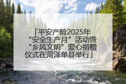 平安产险2025年“安全生产月”活动暨“乡风文明”爱心捐赠仪式在菏泽单县举行