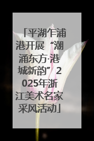 平湖乍浦港开展“潮涌东方·港城新韵”2025年浙江美术名家采风活动