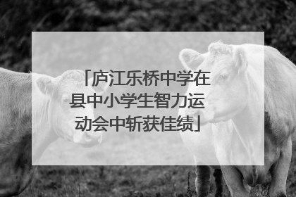 庐江乐桥中学在县中小学生智力运动会中斩获佳绩
