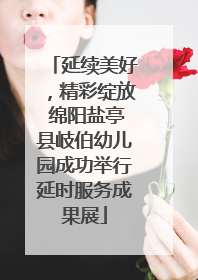 延续美好，精彩绽放 绵阳盐亭县岐伯幼儿园成功举行延时服务成果展
