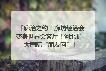 廊洽之约丨廊坊经洽会变身世界会客厅！河北扩大国际“朋友圈”