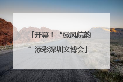 开幕！“徽风皖韵”添彩深圳文博会