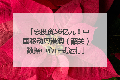 总投资56亿元！中国移动粤港澳（韶关）数据中心正式运行