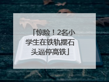 惊险！2名小学生在铁轨摆石头逼停高铁