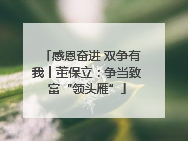 感恩奋进 双争有我丨董保立：争当致富“领头雁”