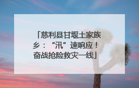 慈利县甘堰土家族乡：“汛”速响应！奋战抢险救灾一线
