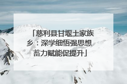 慈利县甘堰土家族乡：深学细悟强思想 蓄力赋能促提升