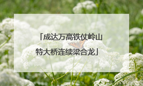 成达万高铁仗岭山特大桥连续梁合龙