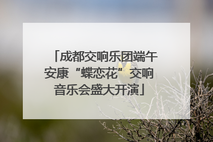 成都交响乐团端午安康“蝶恋花”交响音乐会盛大开演