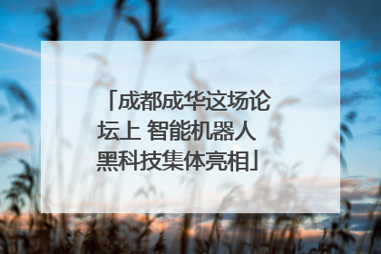 成都成华这场论坛上 智能机器人黑科技集体亮相