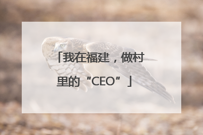 我在福建，做村里的“CEO”