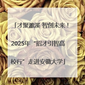 才聚濉溪 智创未来！2025年“招才引智高校行”走进安徽大学