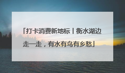 打卡消费新地标丨衡水湖边走一走，有水有鸟有乡愁