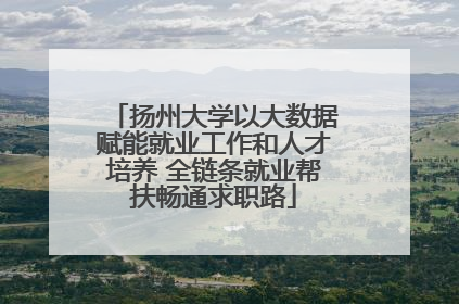 扬州大学以大数据赋能就业工作和人才培养 全链条就业帮扶畅通求职路