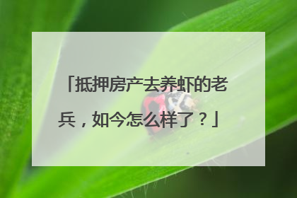 抵押房产去养虾的老兵，如今怎么样了？