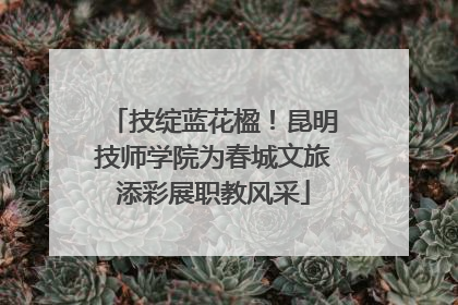 技绽蓝花楹！昆明技师学院为春城文旅添彩展职教风采
