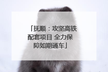 抚顺：攻坚高铁配套项目 全力保障如期通车