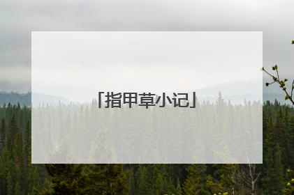 指甲草小记