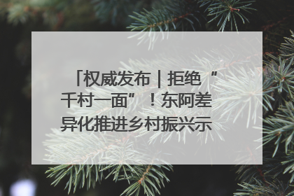权威发布｜拒绝“千村一面”！东阿差异化推进乡村振兴示范片区建设