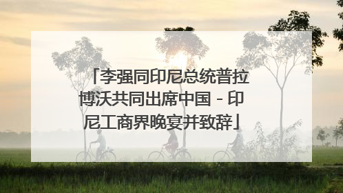 李强同印尼总统普拉博沃共同出席中国－印尼工商界晚宴并致辞