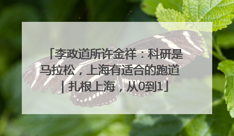 李政道所许金祥：科研是马拉松，上海有适合的跑道｜扎根上海，从0到1