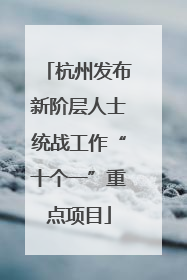 杭州发布新阶层人士统战工作“十个一”重点项目