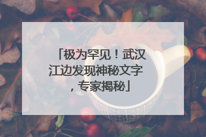 极为罕见！武汉江边发现神秘文字，专家揭秘