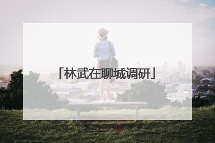 林武在聊城调研