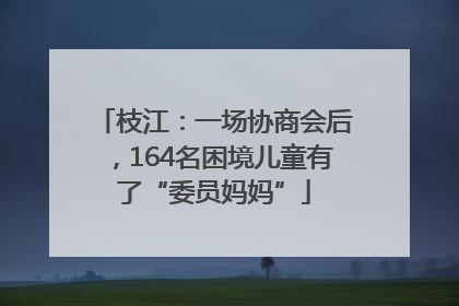枝江：一场协商会后，164名困境儿童有了“委员妈妈”