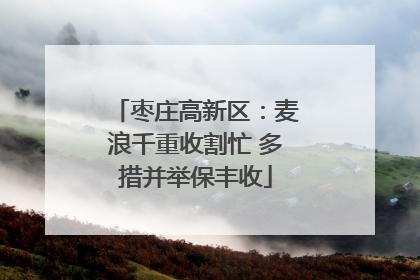 枣庄高新区：麦浪千重收割忙 多措并举保丰收