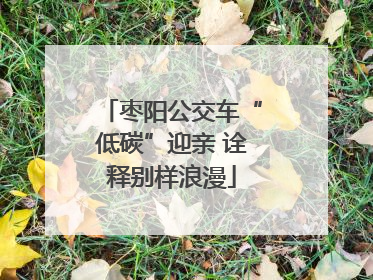 枣阳公交车“低碳”迎亲 诠释别样浪漫