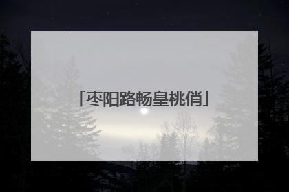 枣阳路畅皇桃俏