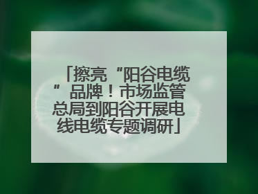 擦亮“阳谷电缆”品牌！市场监管总局到阳谷开展电线电缆专题调研