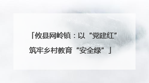 攸县网岭镇：以“党建红”筑牢乡村教育“安全绿”