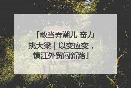敢当弄潮儿 奋力挑大梁｜以变应变，镇江外贸闯新路