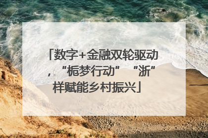 数字+金融双轮驱动，“栀梦行动”“浙”样赋能乡村振兴