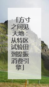 方寸之间见天地：从特区试验田到提振消费引擎