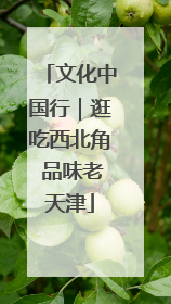 文化中国行｜逛吃西北角 品味老天津