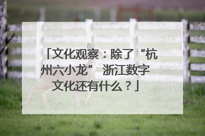 文化观察：除了“杭州六小龙” 浙江数字文化还有什么？