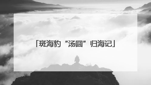 斑海豹“汤圆”归海记