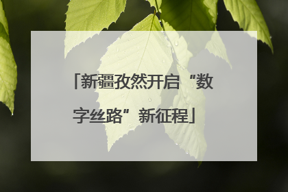新疆孜然开启“数字丝路”新征程