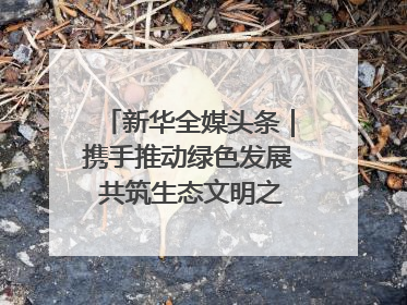 新华全媒头条｜携手推动绿色发展 共筑生态文明之基（1）